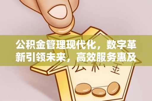 亳州公积金管理现代化，数字革新引领未来，高效服务惠及民生