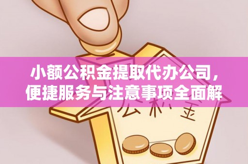 亳州小额公积金提取代办公司，便捷服务与注意事项全面解析