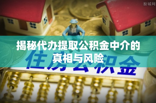 亳州揭秘代办提取公积金中介的真相与风险