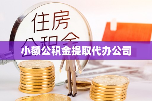 亳州小额公积金提取代办公司