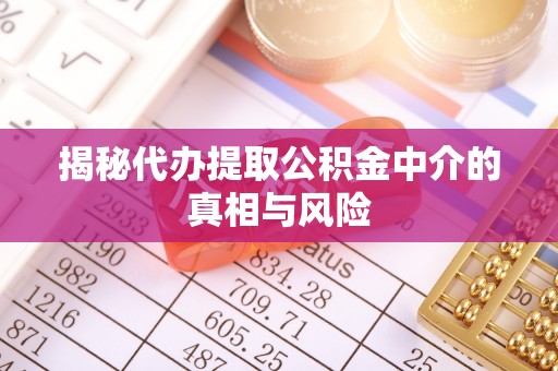 亳州揭秘代办提取公积金中介的真相与风险