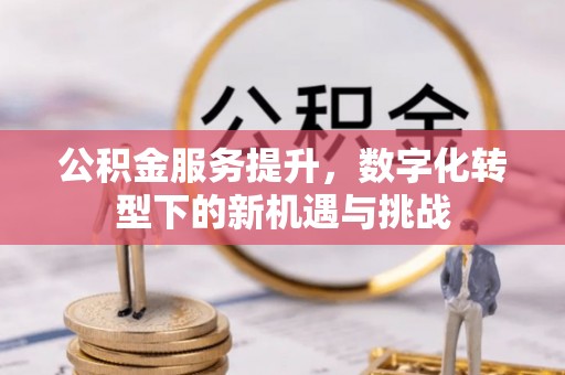 亳州公积金服务提升，数字化转型下的新机遇与挑战