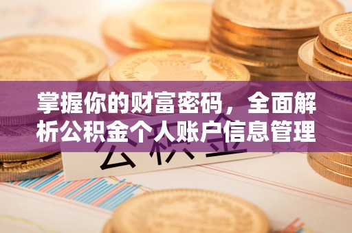 亳州掌握你的财富密码，全面解析公积金个人账户信息管理与优化
