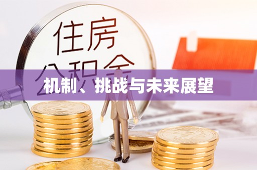 亳州机制、挑战与未来展望