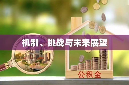 亳州机制、挑战与未来展望