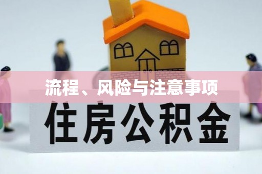 亳州流程、风险与注意事项