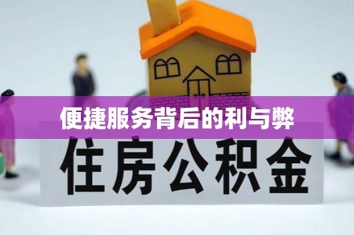 亳州便捷服务背后的利与弊